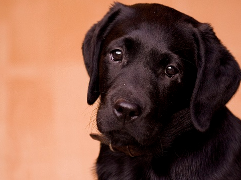 Tam o anda çekilen fotoğraflar 15