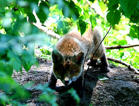 Tam o anda çekilen fotoğraflar 16