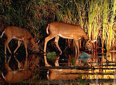 Tam o anda çekilen fotoğraflar 17