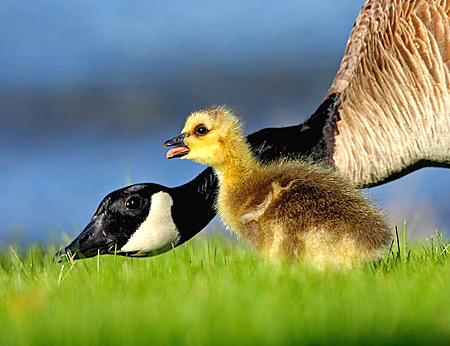 Tam o anda çekilen fotoğraflar 18