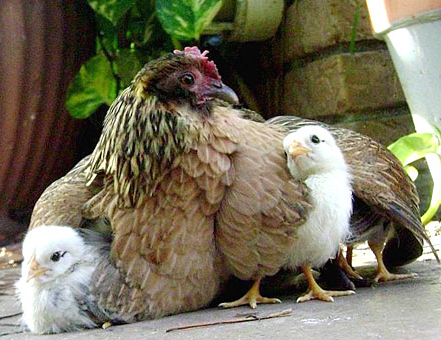 Tam o anda çekilen fotoğraflar 19