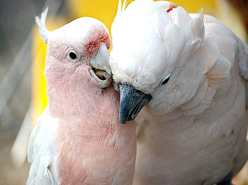 Tam o anda çekilen fotoğraflar 2