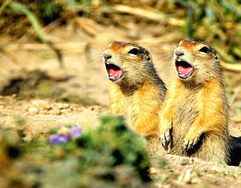 Tam o anda çekilen fotoğraflar 20