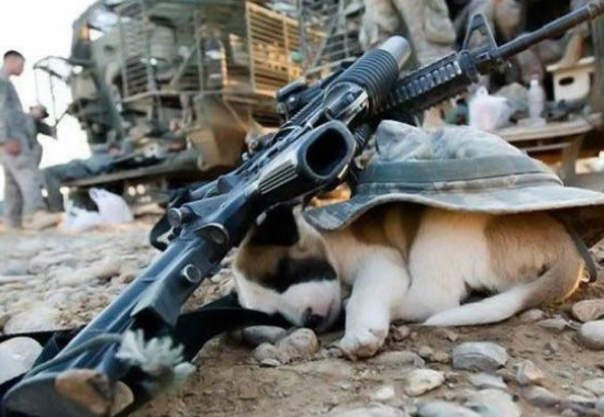 Tam o anda çekilen fotoğraflar 26