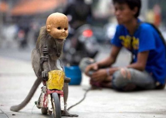 Tam o anda çekilen fotoğraflar 29