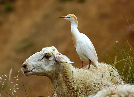 Tam o anda çekilen fotoğraflar 3