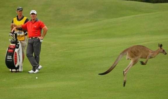 Tam o anda çekilen fotoğraflar 31