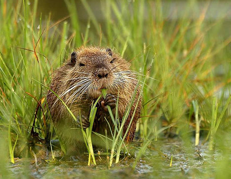 Tam o anda çekilen fotoğraflar 4