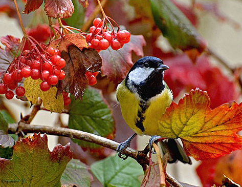 Tam o anda çekilen fotoğraflar 5