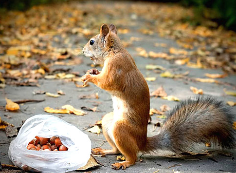 Tam o anda çekilen fotoğraflar 6