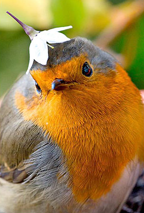 Tam o anda çekilen fotoğraflar 7