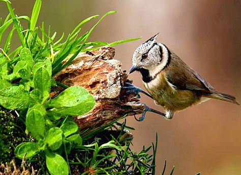 Tam o anda çekilen fotoğraflar 8