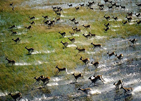 Tam o anda çekilen fotoğraflar 9