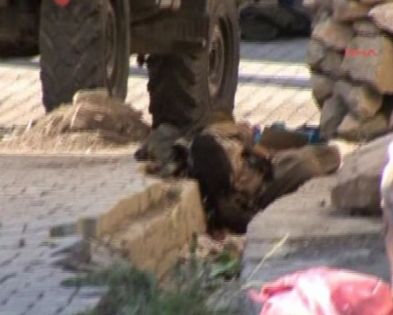 İşte ölen teröristin üzerinden çıkarılanlar! 3