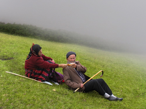 Kadına Şiddete Hayır, Sevgi ve Hoşgörüye Evet