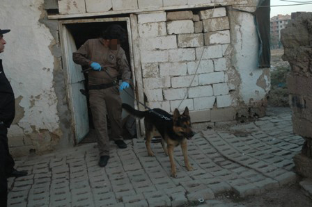 Yeni Mahallede operasyon 6