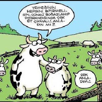 Kurbanlık karikatürler  13