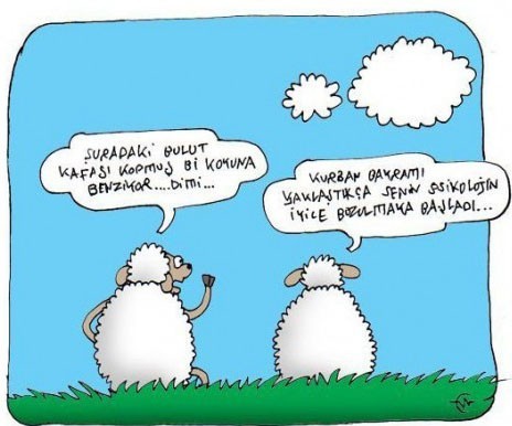 Kurbanlık karikatürler  16