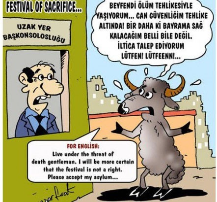 Kurbanlık karikatürler  18