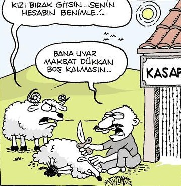 Kurbanlık karikatürler  21