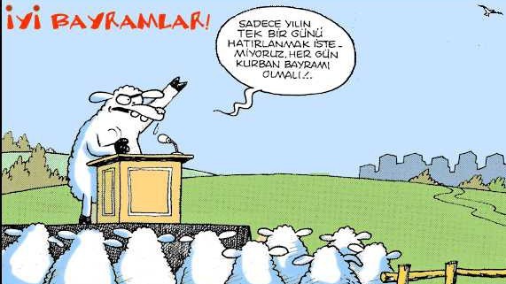 Kurbanlık karikatürler  22