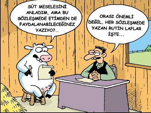 Kurbanlık karikatürler  23