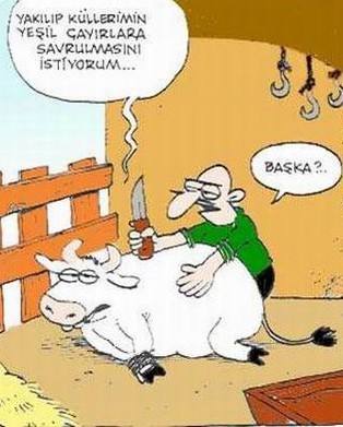 Kurbanlık karikatürler  25