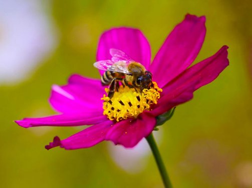 Türkiyeden etkileyici sonbahar anları