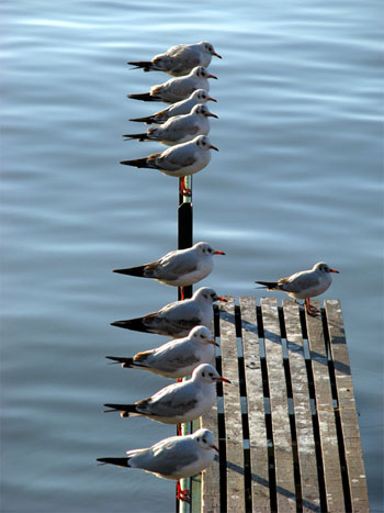İlginç fotoğraflar 8