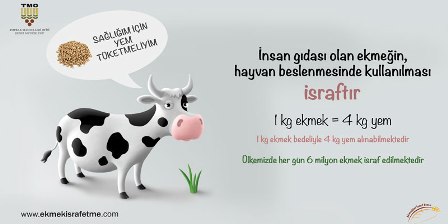 Ekmek israfı yapılmazsa neler kazanırız? 6