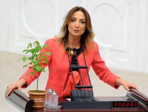 Mecliste yapılan en ilginç eylemler 21