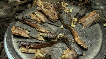 Balık Avı 26