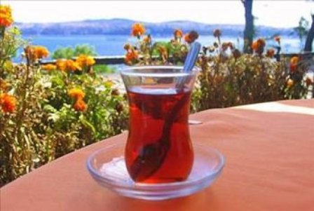 Türk çayının faydaları 16