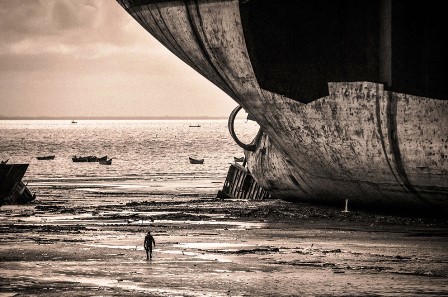 2013ün En Sıra Dışı Fotoğrafları 19