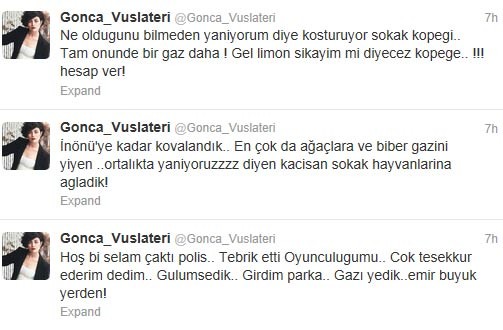 Gezi Parkı Tweetleri 14