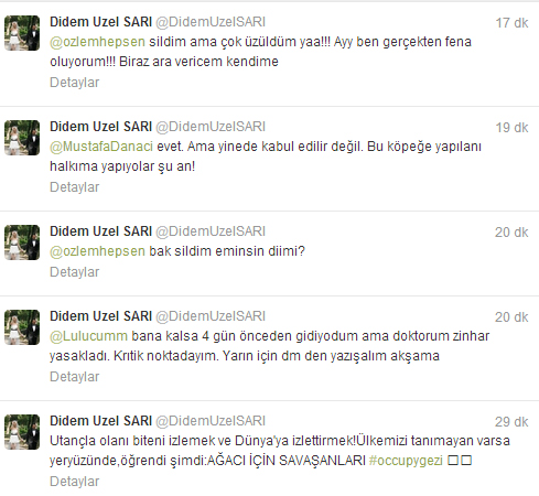 Gezi Parkı Tweetleri 7