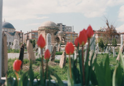 Konyalı kadınlar şanslı çıktı