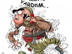 Van depremi karikatürlerin gündeminde