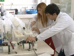 Bisküvide jelatin meyve suyunda ahşap