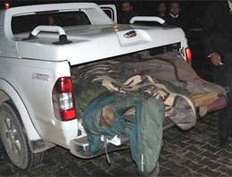 PKK'lıların cesetleri böyle taşındı