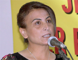 BDP Mesud Barzani'den ne istedi?