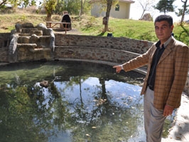 Bu balıkları kimse avlamıyor