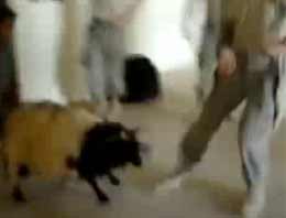 Askerlerden koyuna akılalmaz vahşet