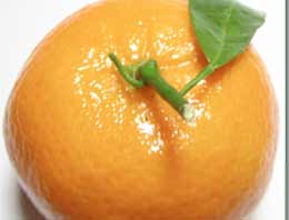 Bu mandalinaya aman dikkat!