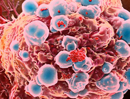 Artık 1 damla kan hayat kurtaracak