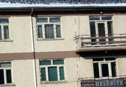 Kuşlar belediyeye sığındı