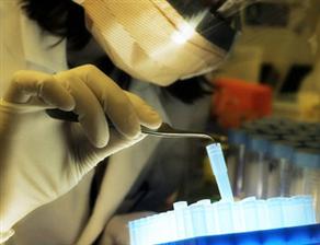 Kanser tedavisinde büyük umut