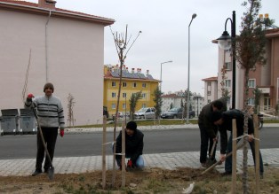 Ereğli'de 5 bin fidan toprakla buluştu