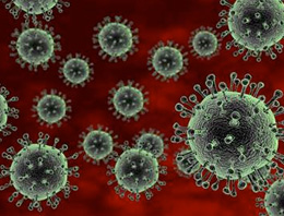 O virüs yine ortaya çıktı