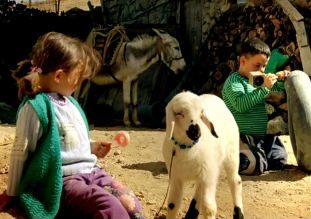 Reklam yıldızı Asiye'yi kaybettik